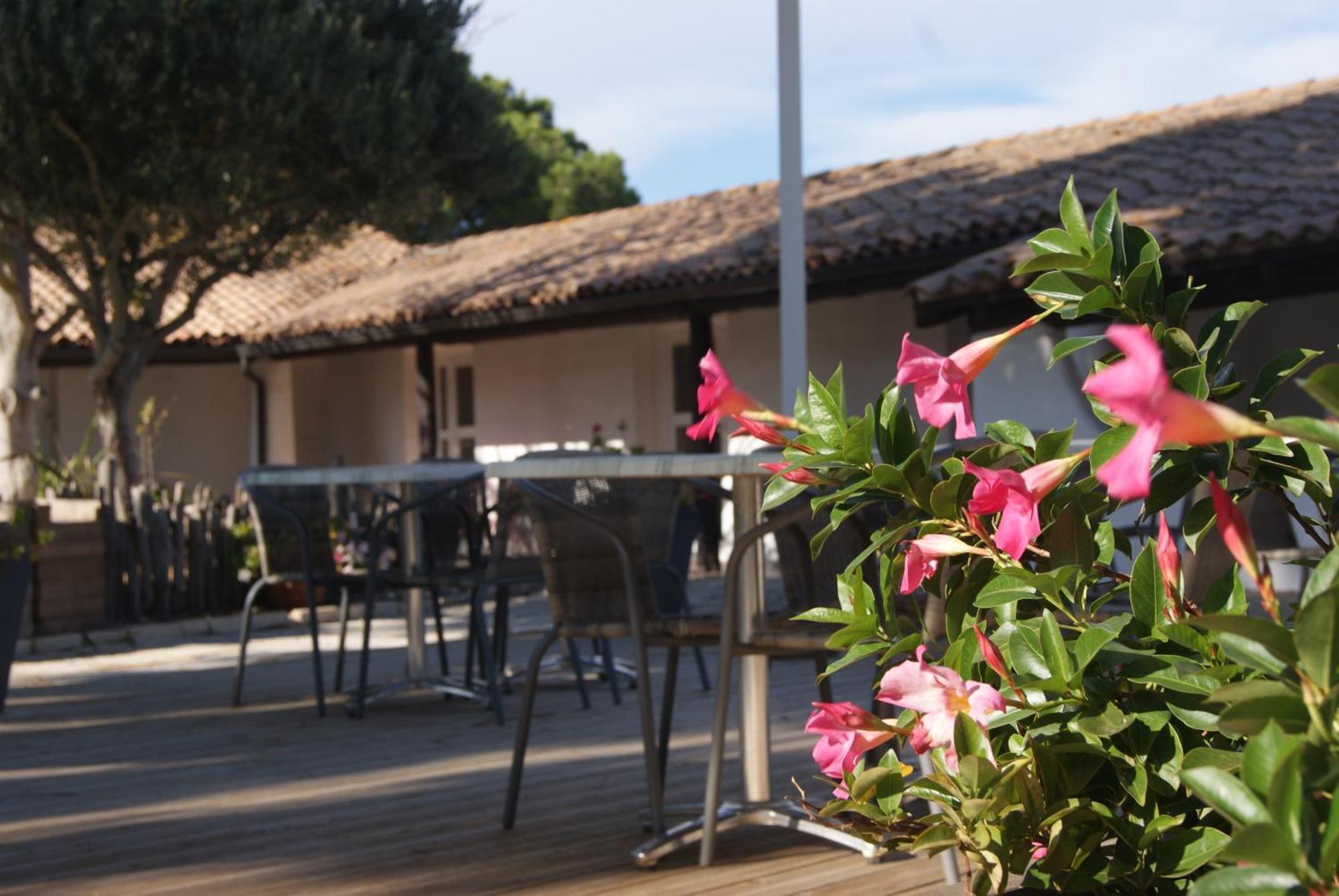 Les Rizieres Hotell Saintes-Maries-de-la-Mer Eksteriør bilde